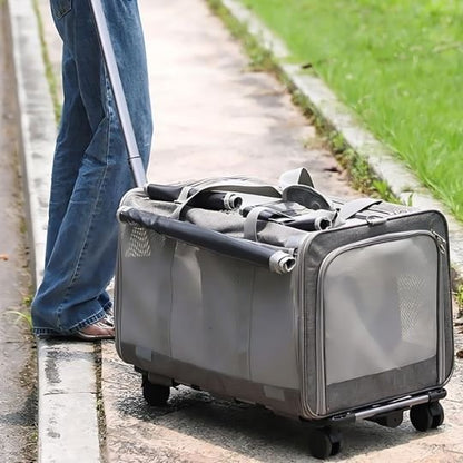 Sac transport chat gris