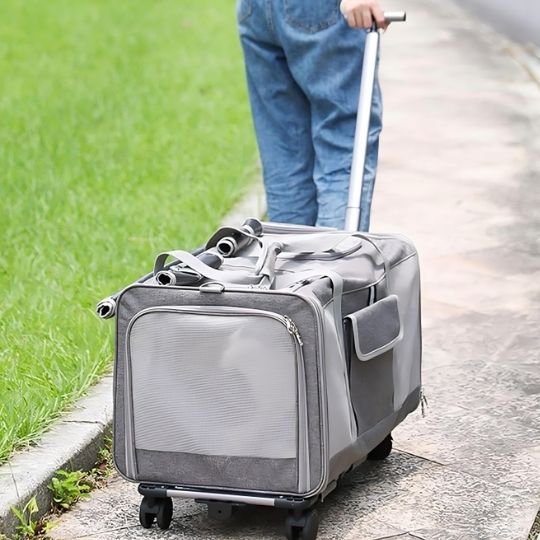 Sac transport chat sur roulette