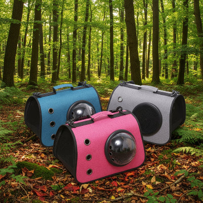 Sacs de transport pour chien en forêt