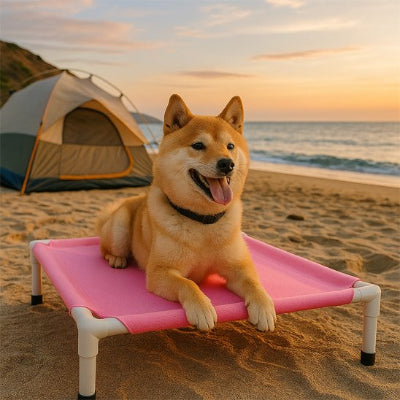 shiba sur son lit de camp Chien rose en camping