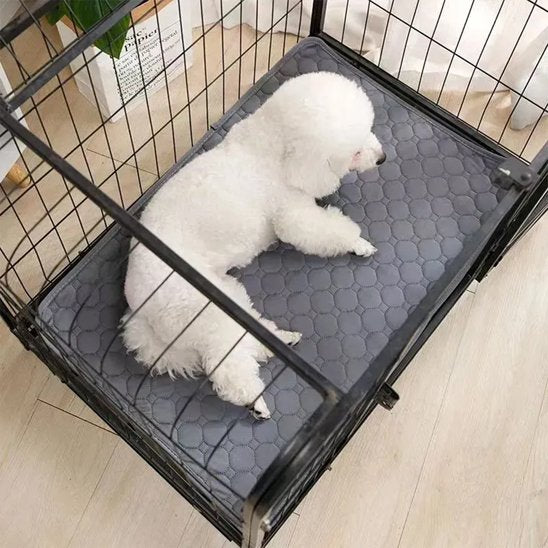 Tapis absorbant chien toutes tailles 70x50 100x70 150x90 cm