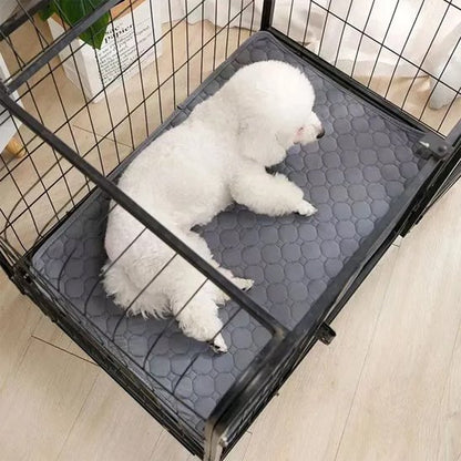 Tapis absorbant chien toutes tailles 70x50 100x70 150x90 cm