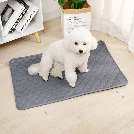 Tapis absorbant chien gris 4 couches antidérapant