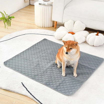 Tapis absorbant chien imperméable fond antidérapant gel de silice