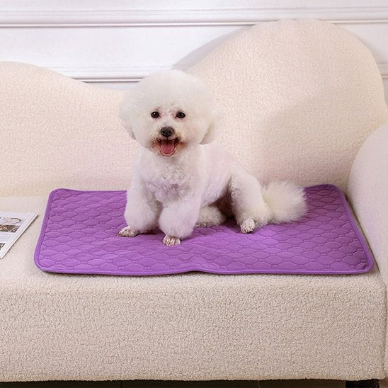 Tapis absorbant chien violet hypoallergénique réutilisable