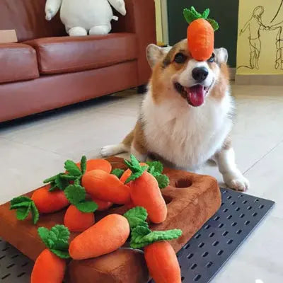 Tapis de fouille carottes