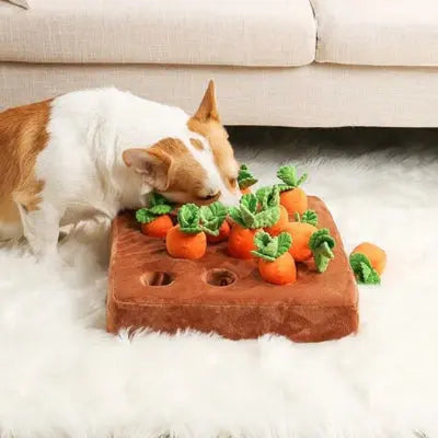 Tapis de fouille interactif