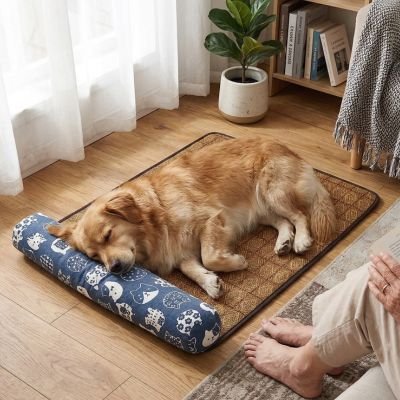 chien dort près de son maître sur Tapis fraicheur Chien bleu