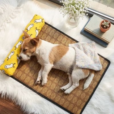 chien dort sur son Tapis fraicheur Chien brun avec coussin jaune