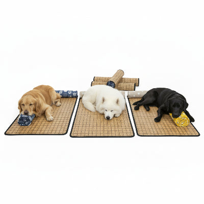 tapis fraicheur chien quatre saisons