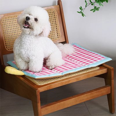 petit chien blanc assis sur Tapis pour chien rafraîchissant sur une chaise