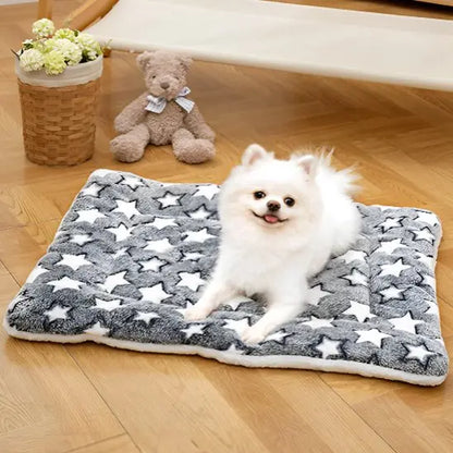 Tapis pour chien