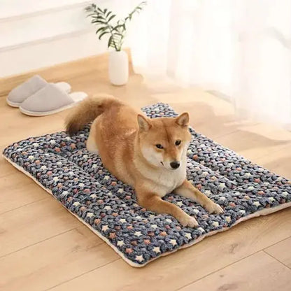 Tapis pour chien