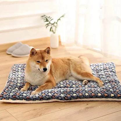 Tapis pour chien