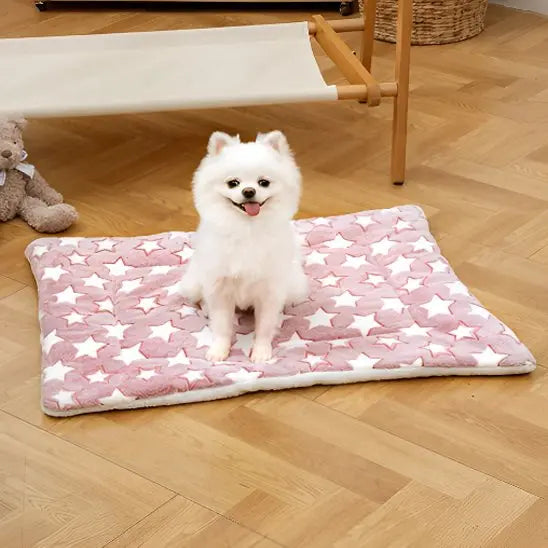 Tapis pour chien