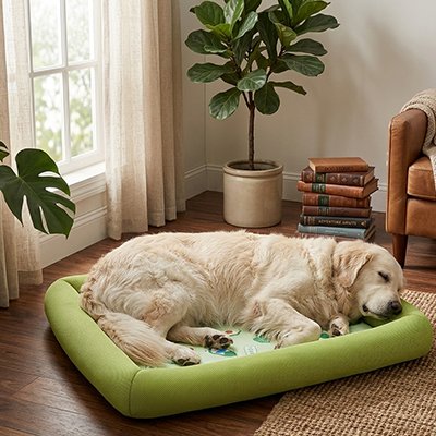 Tapis rafraichissant Chien vert et blanc