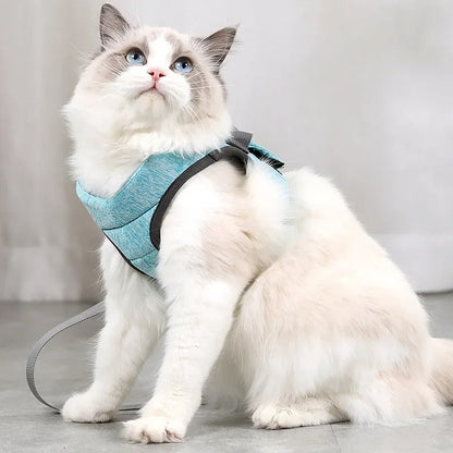 HARNAIS ET LAISSE POUR CHAT | DouxPas™ Royaume Animalier