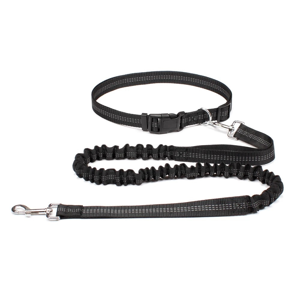 LAISSE POUR CHIEN ELASTIQUE | Canicross Royaume Animalier