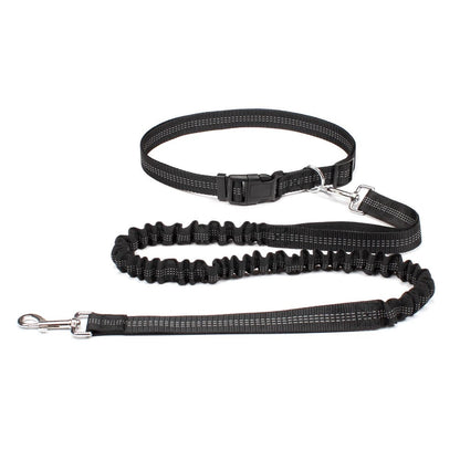 LAISSE POUR CHIEN ELASTIQUE | Canicross Royaume Animalier