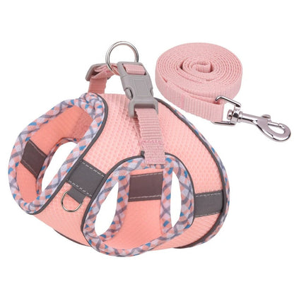 HARNAIS CHAT ANTI FUGUE | SafePaws™ Royaume Animalier