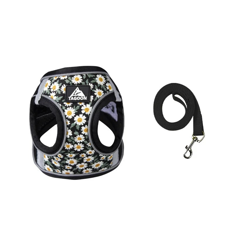 HARNAIS CHAT | BloomFélin™ Royaume Animalier