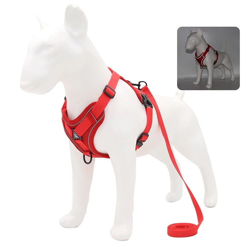 HARNAIS CHAT ANTI FUGUE | StaySafe™ Royaume Animalier