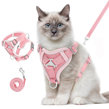 HARNAIS POUR CHAT | RandoMiaou™ Royaume Animalier