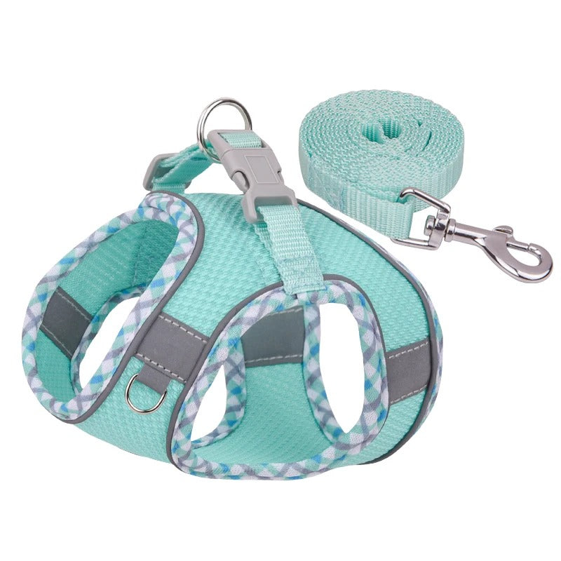 HARNAIS CHAT ANTI FUGUE | SafePaws™ Royaume Animalier
