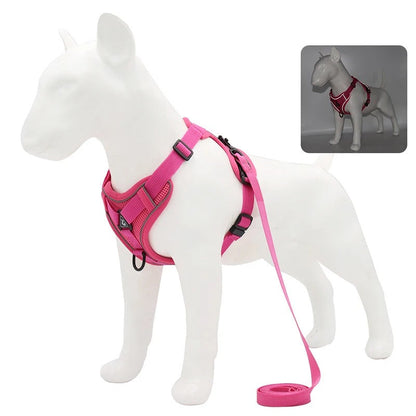 HARNAIS CHAT ANTI FUGUE | StaySafe™ Royaume Animalier
