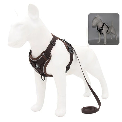HARNAIS CHAT ANTI FUGUE | StaySafe™ Royaume Animalier